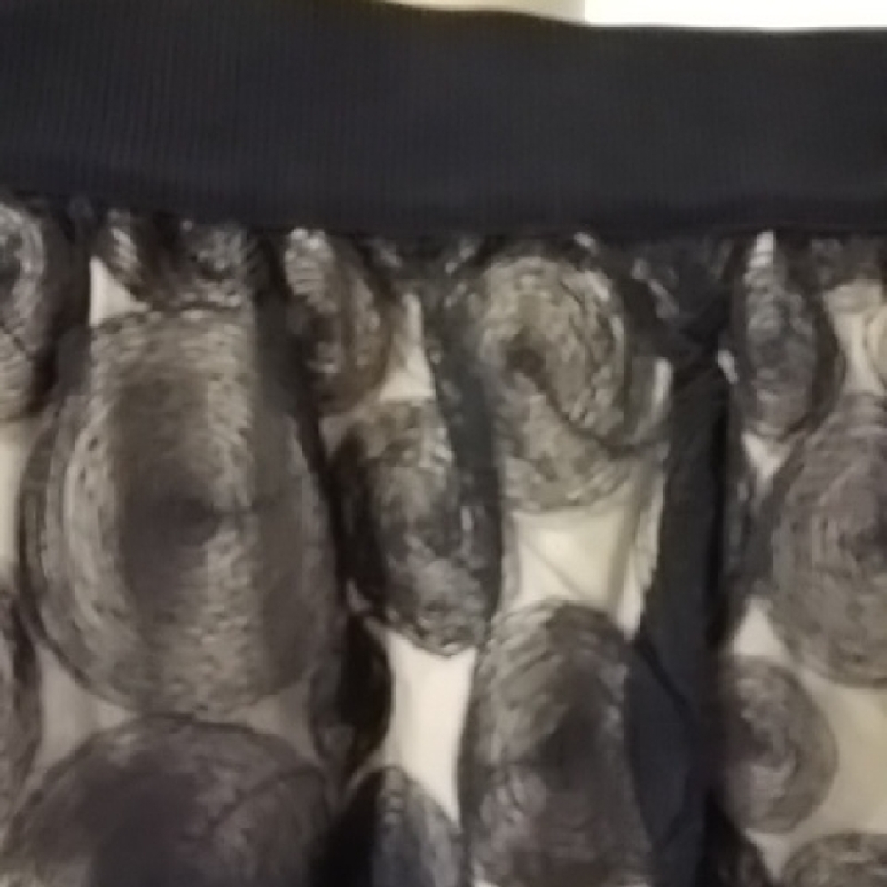 Lane Bryant Black and Cream Polka Dot A-Line Skirt - Picture 5 of 7